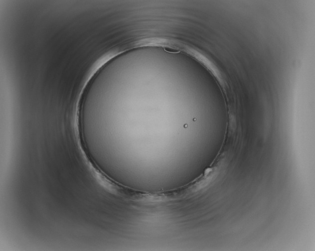 X0000111161050200907141357