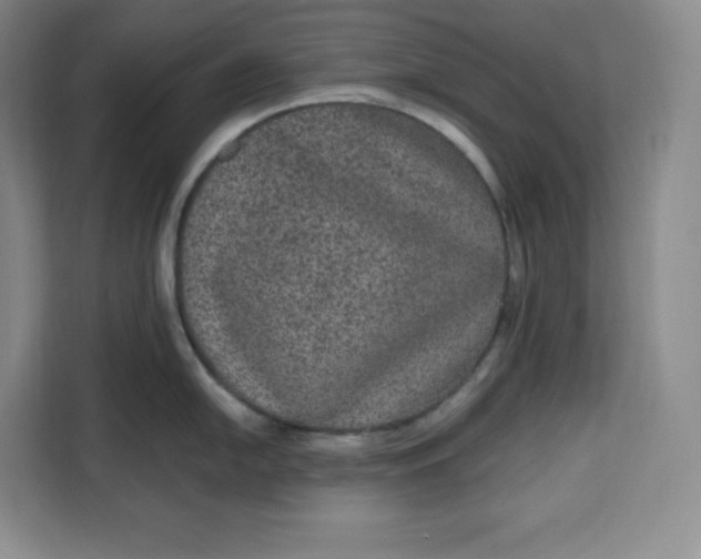 X0000111161054200907141357