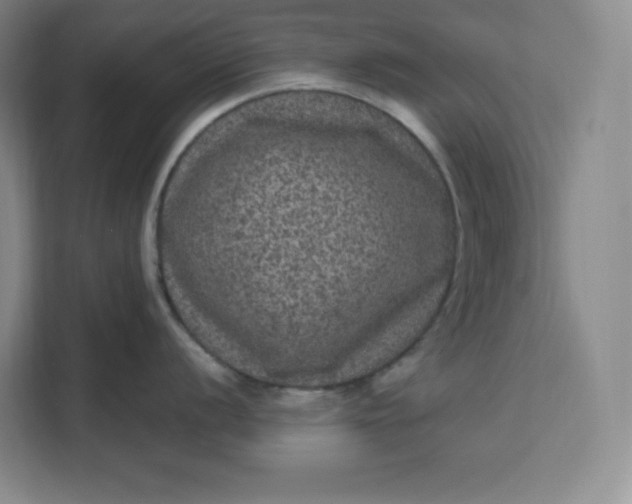 X0000111161056200907141357