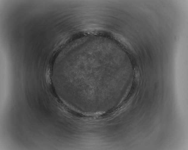 X0000111161060200907141357