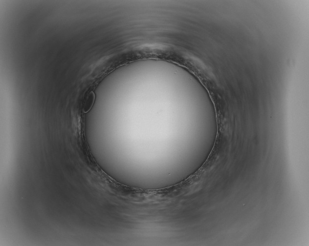X0000111161061200907141357