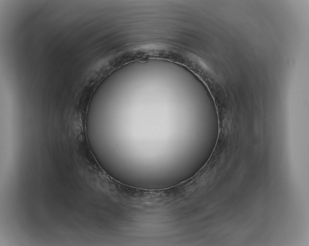 X0000111161062200907141357