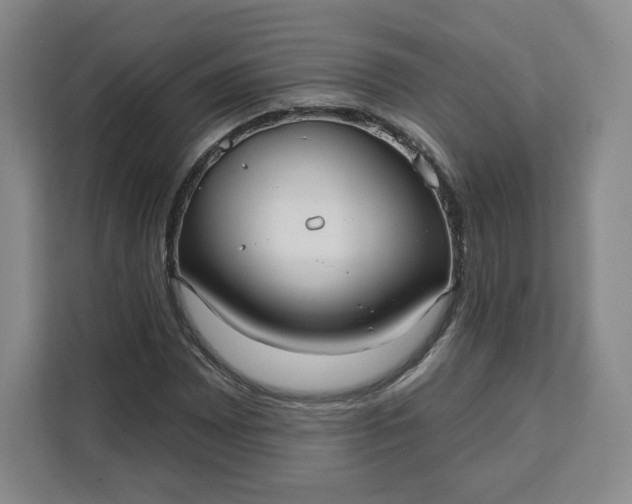 X0000111161065200907141357