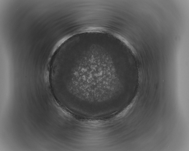 X0000111161066200907141357