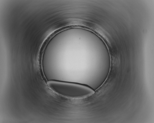 X0000111161068200907141357
