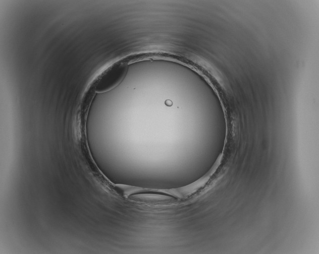 X0000111161069200907141357
