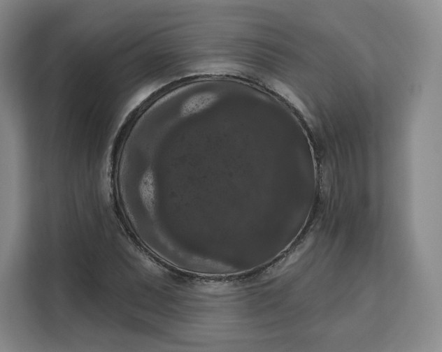X0000111161071200907141357