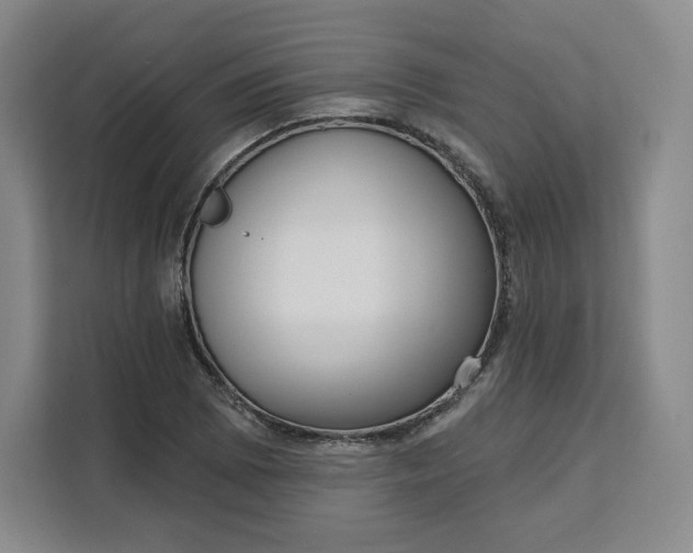 X0000111161073200907141357