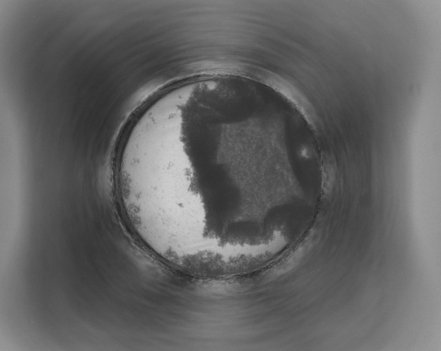 X0000111161074200907141357
