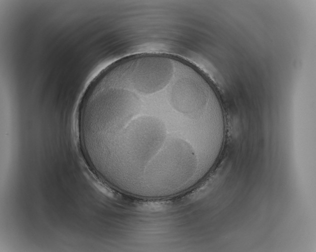 X0000111161078200907141357