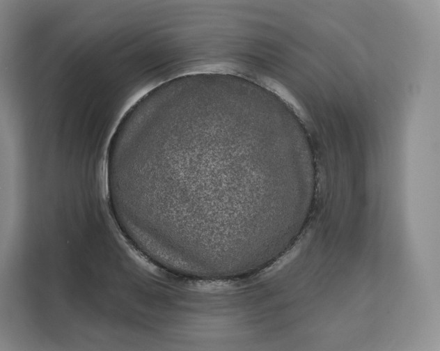 X0000111161079200907141356