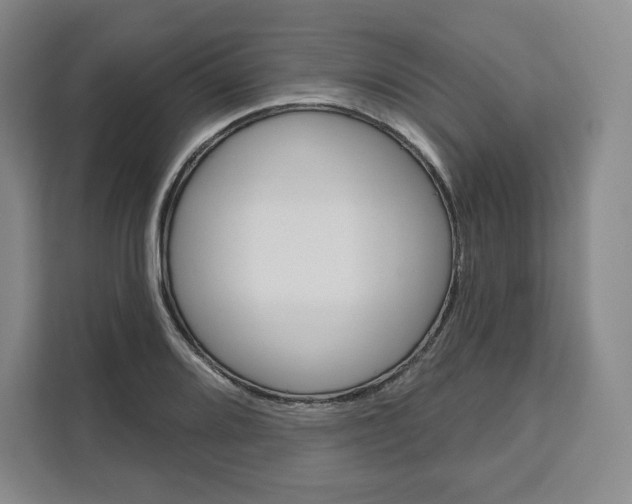 X0000111161080200907141356