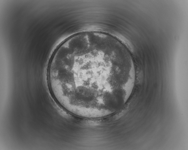 X0000111161086200907141356