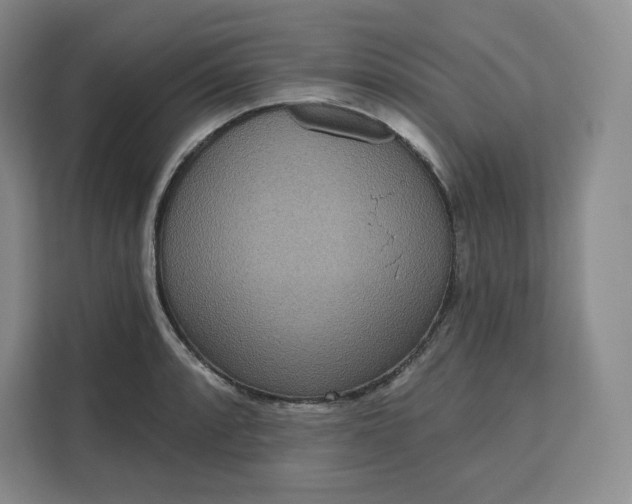 X0000111161088200907141356