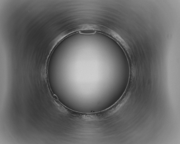 X0000111161089200907141356