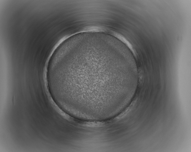 X0000111161091200907141356