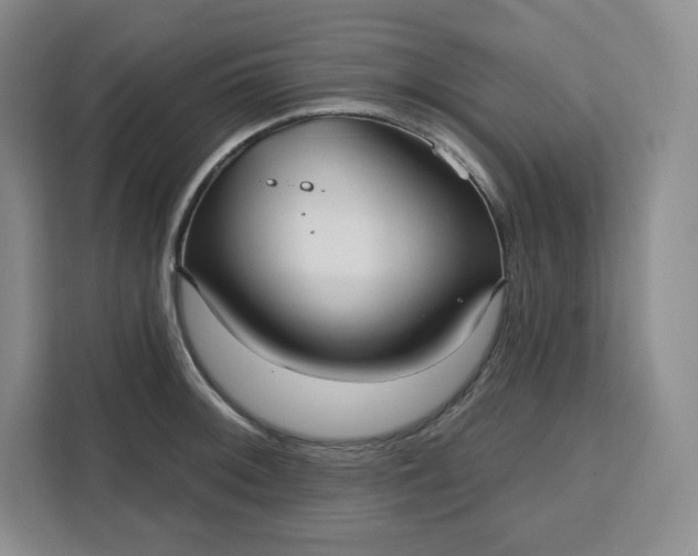 X0000111161092200907141356