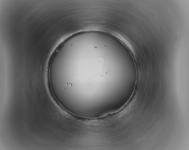 X0000111161093200907141356