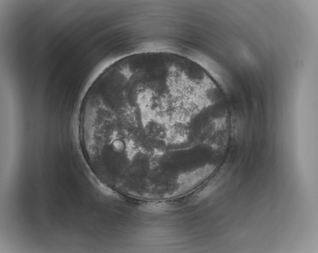 X0000111161094200907141356