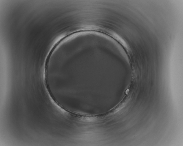 X0000111161095200907141356