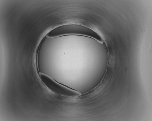 X0000111161096200907141356