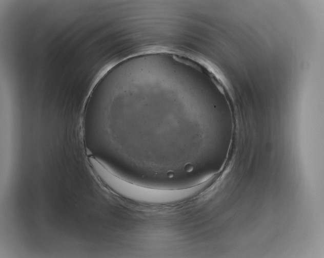 X0000111161097200907141356