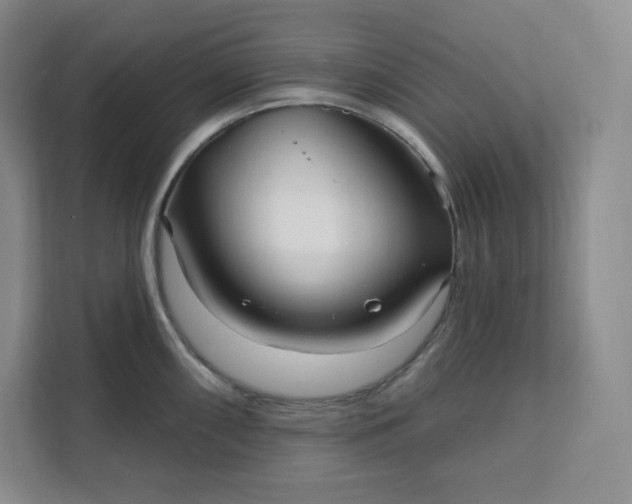 X0000111161098200907141356