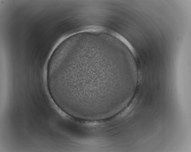 X0000111161099200907141356