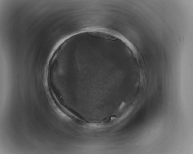 X0000111161102200907141356