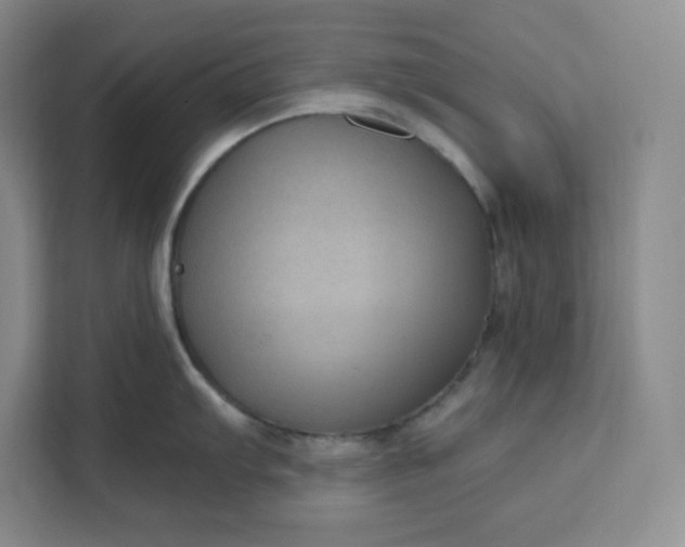 X0000111161103200907141356