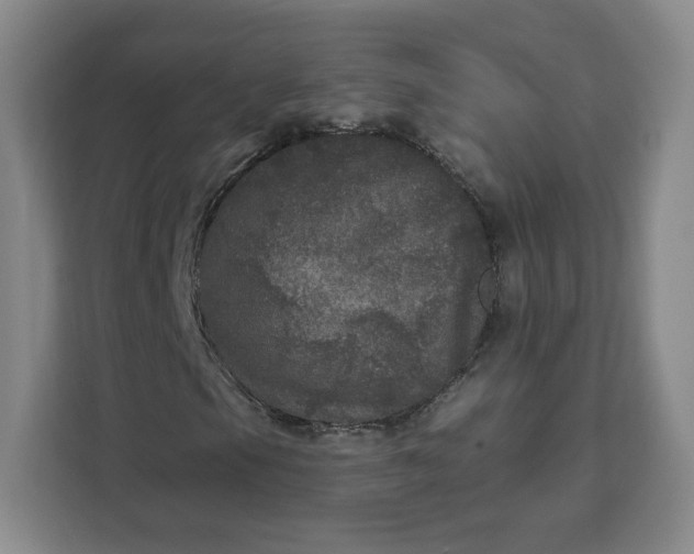 X0000111161105200907141356