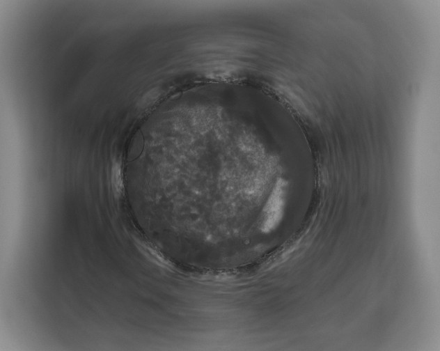 X0000111161106200907141356