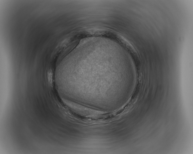 X0000111161108200907141356