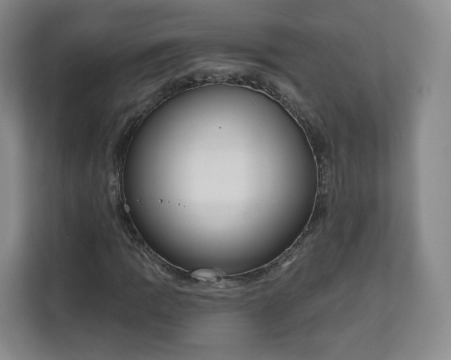 X0000111161109200907141356