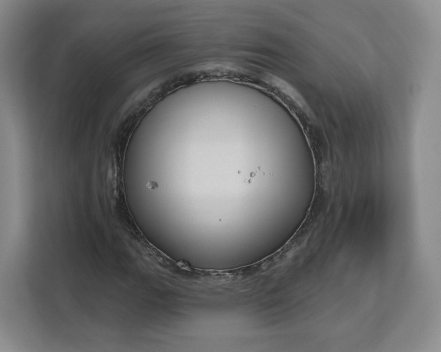 X0000111161111200907141356