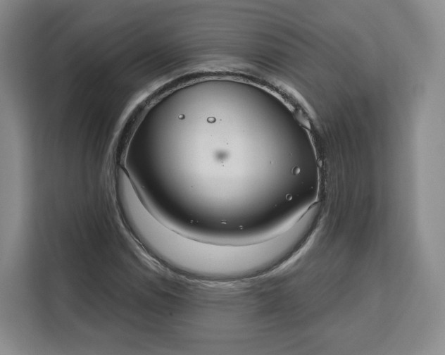 X0000111161114200907141356