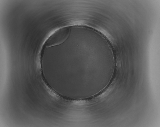 X0000111161118200907141356