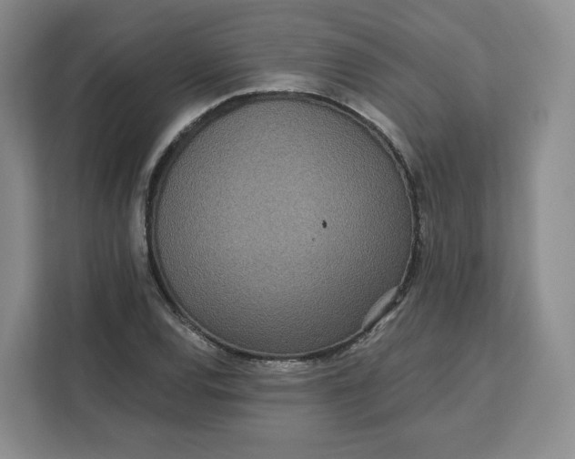 X0000111161120200907141356