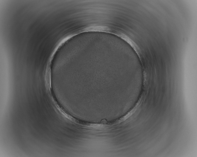 X0000111161123200907141356