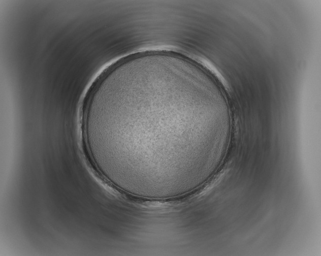 X0000111161124200907141356