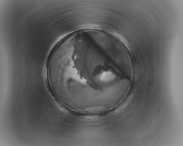 X0000111161125200907141356