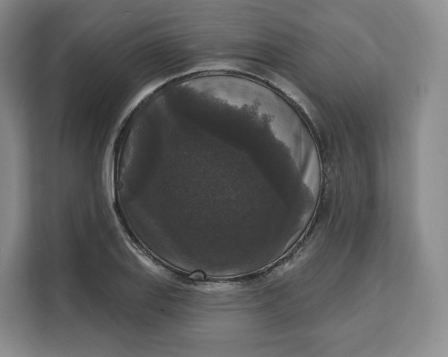 X0000111161127200907141356
