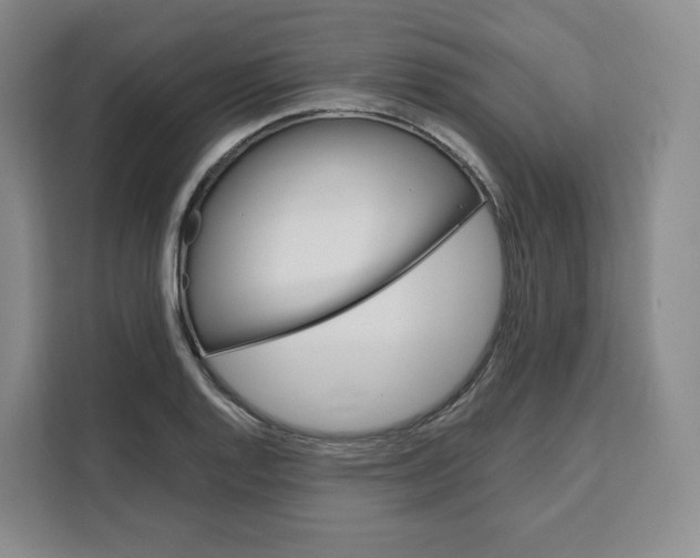 X0000111161128200907141356
