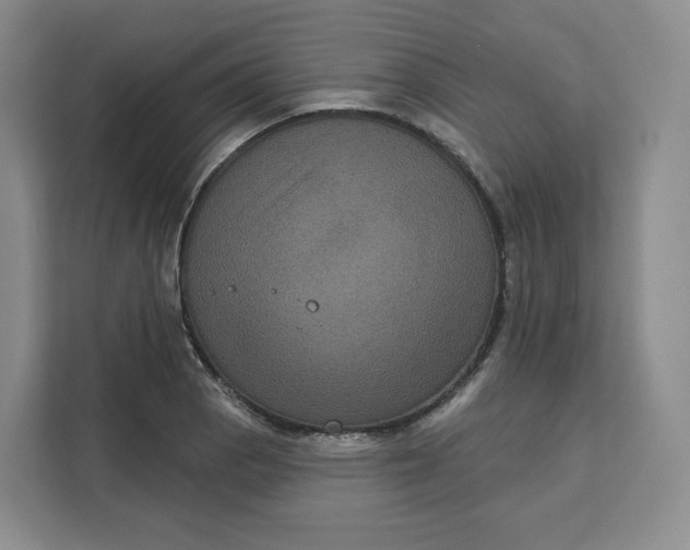 X0000111161129200907141356