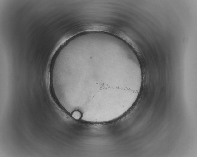 X0000111161130200907141356