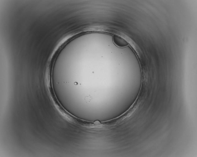 X0000111161131200907141356