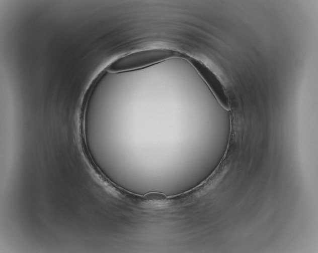 X0000111161134200907141356