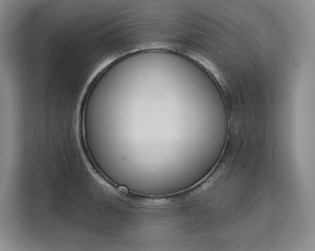 X0000111161135200907141356