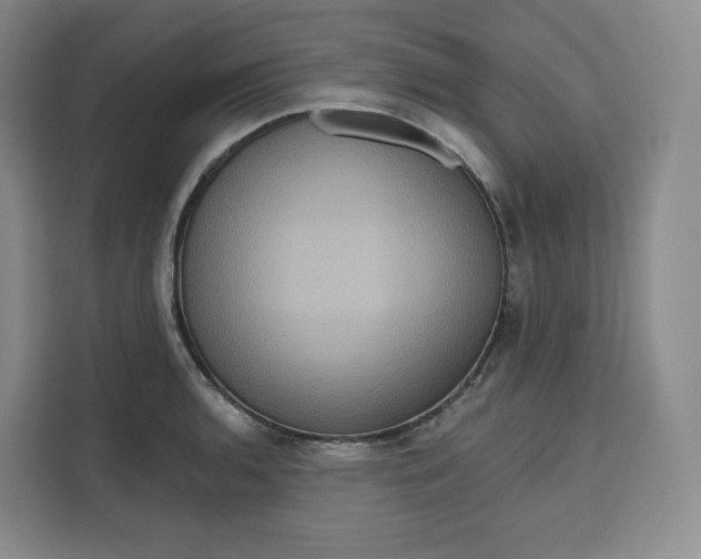 X0000111161136200907141356