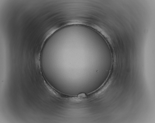 X0000111161137200907141356